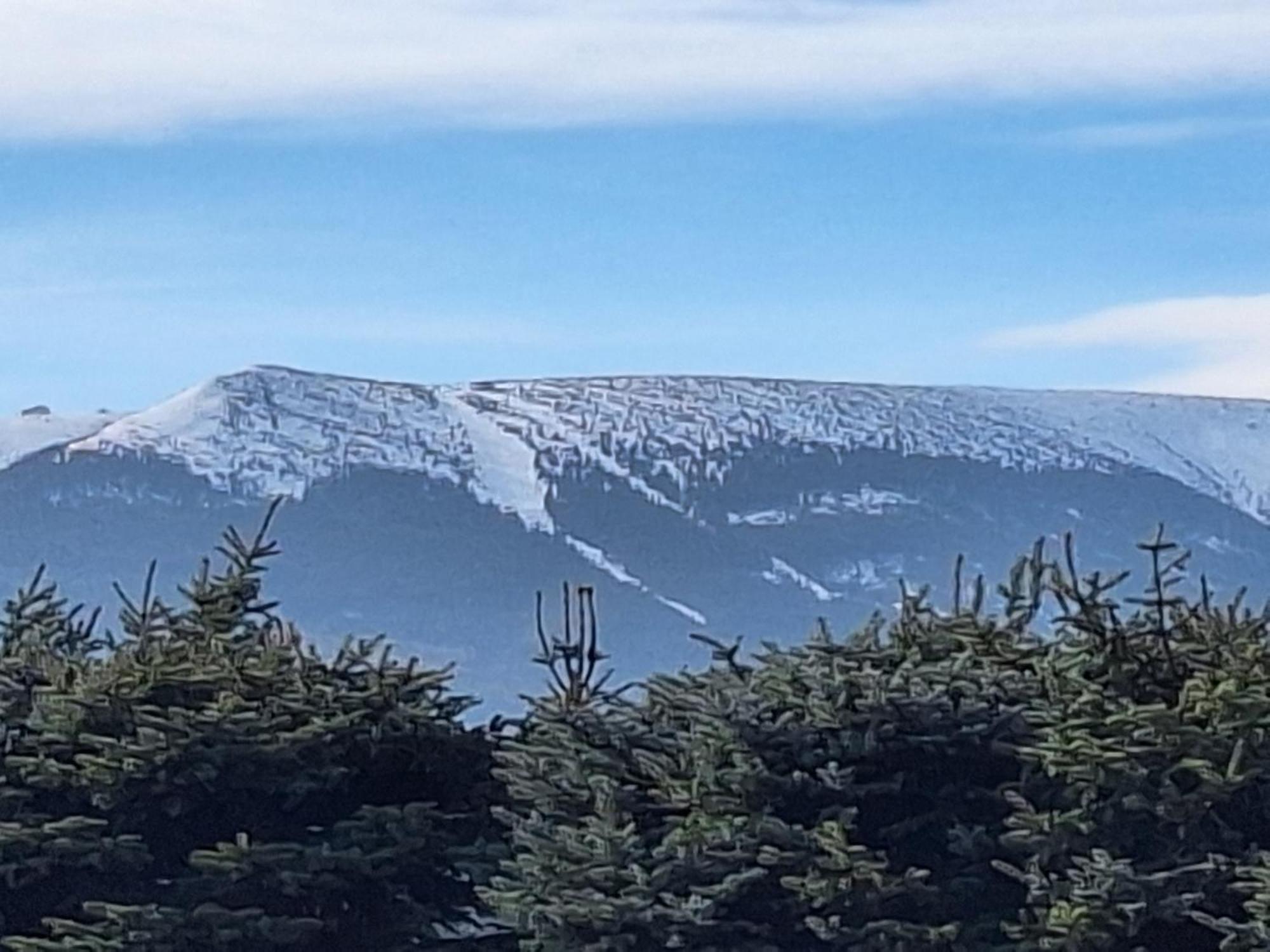 Sunny Hill , Kowary公寓 外观 照片